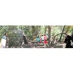 Nanabush Trails: Path of the Chippewas