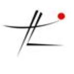 Translogistique FZ LLC