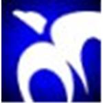 EW Consulting Services