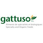 Gattuso Inc.