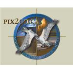 pix2go