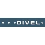 Divel Inc.