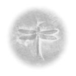 Blue Wilderness Management Group Inc.