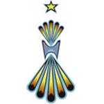 Morning Star Technologies Inc.