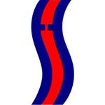 First Swiss Financial